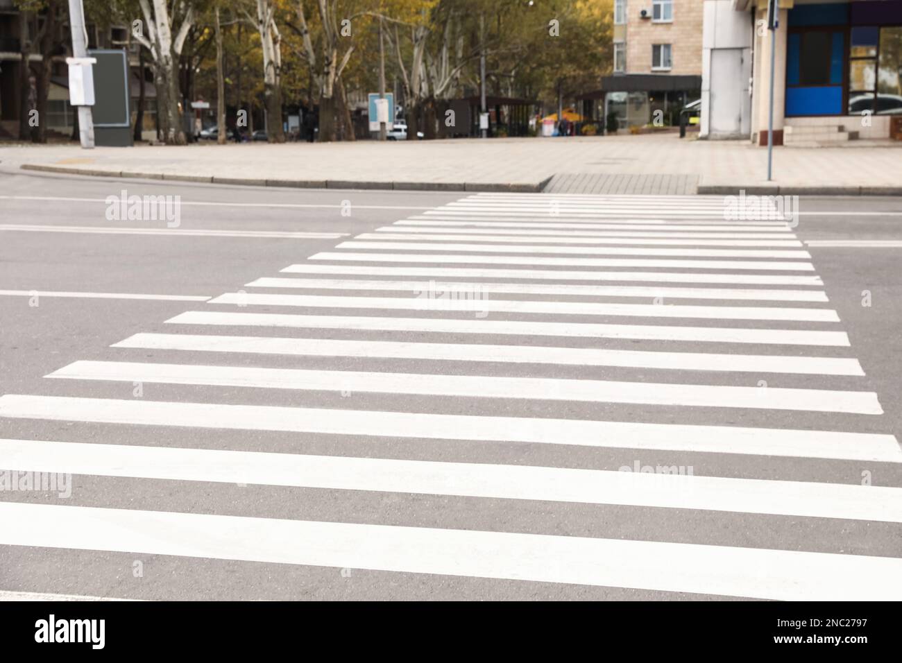 White pedestrian crossing on empty city street Stock Photo - Alamy