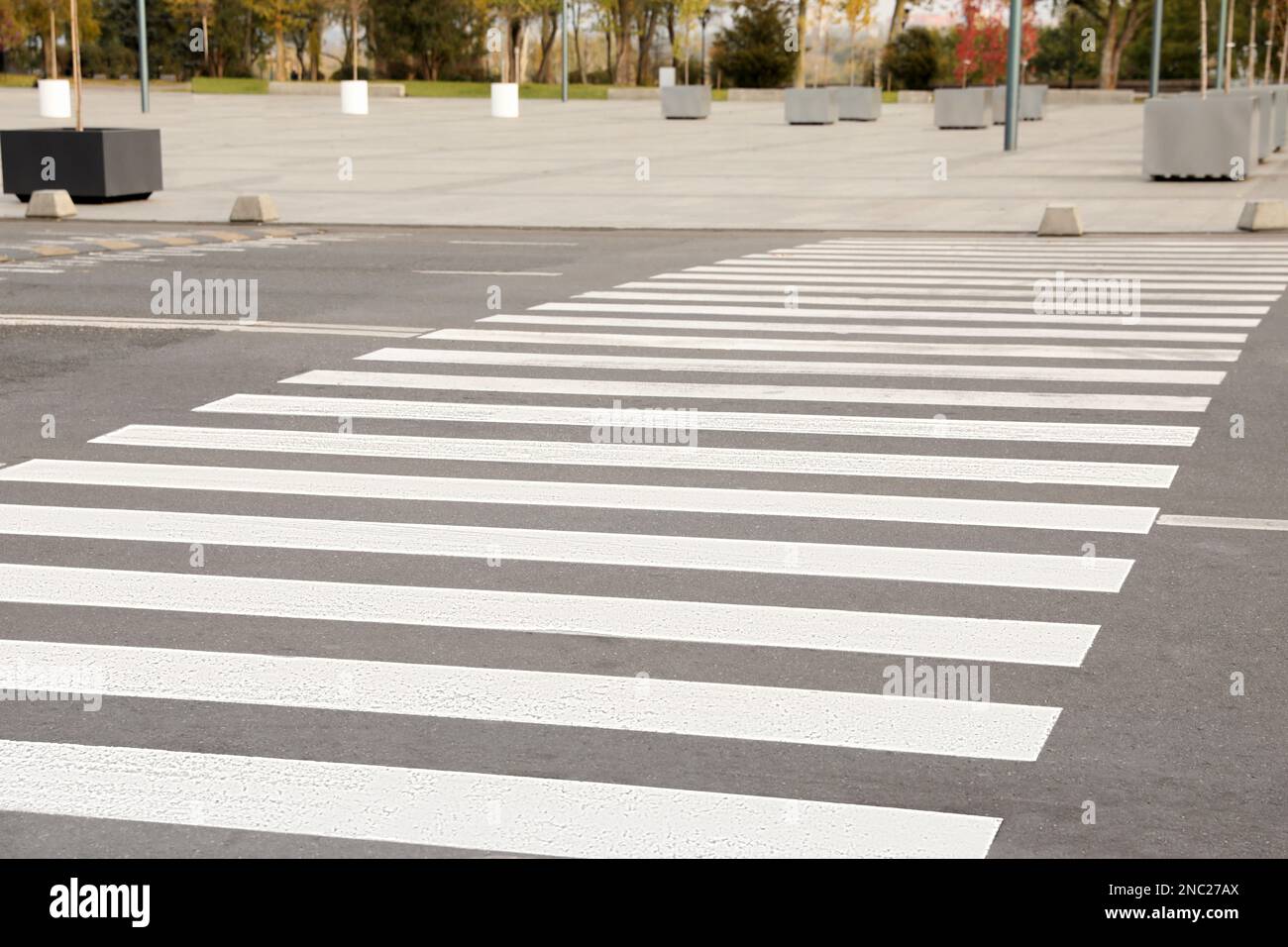 White pedestrian crossing on empty city street Stock Photo - Alamy