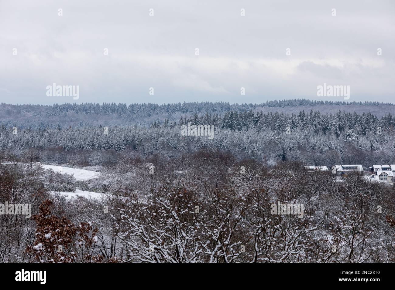 Winter mountain landscape, Forrest in Hessen Germany Stock Photo