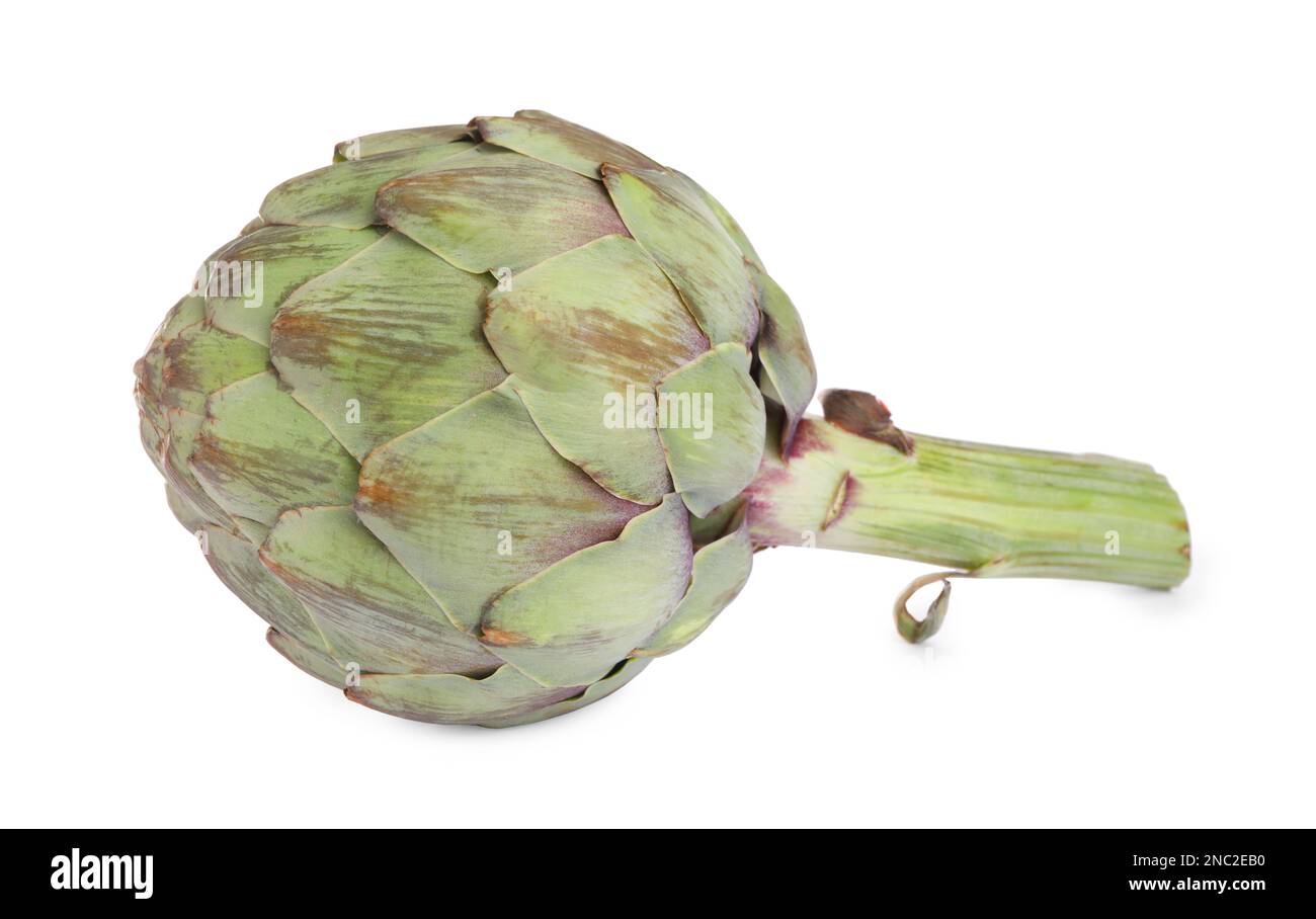 Whole fresh raw artichoke isolated on white Stock Photo Alamy