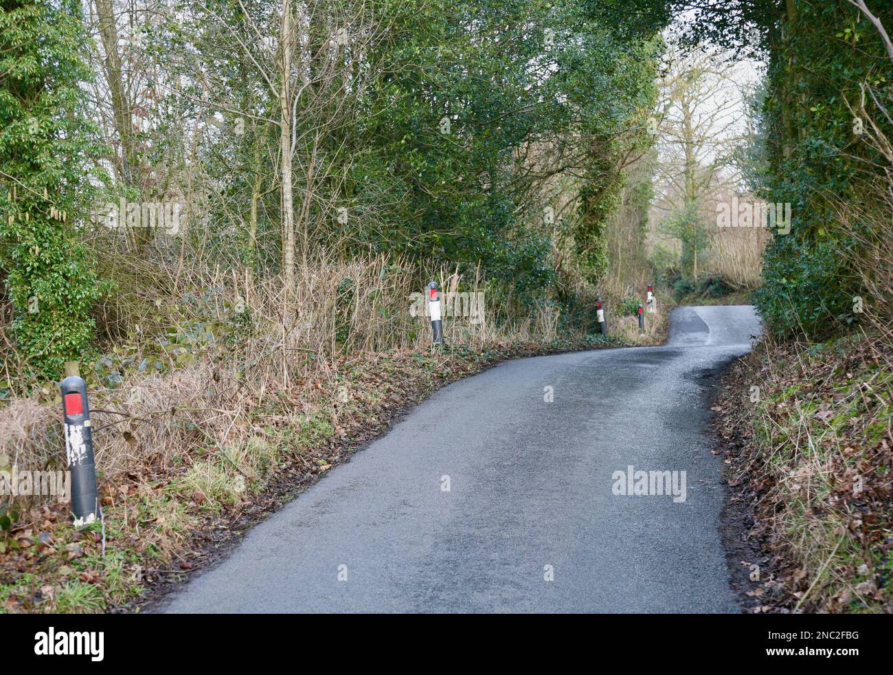 A narrow lane in the Lancashire countryside, United Kingdom, Europe ...