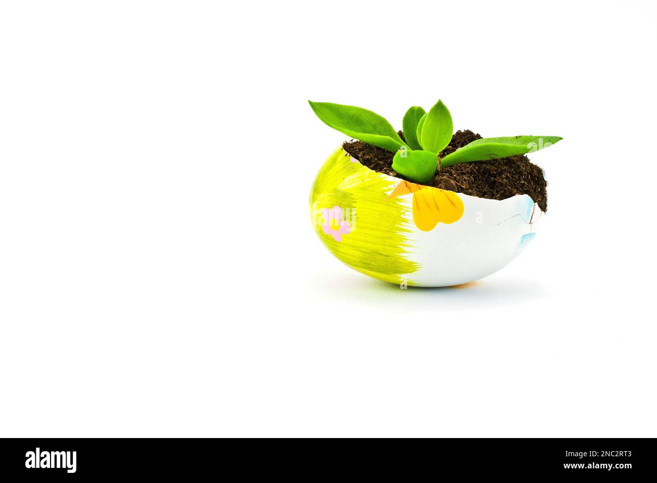 Conceptual and creative idea of broken egg shells used as soil pots and