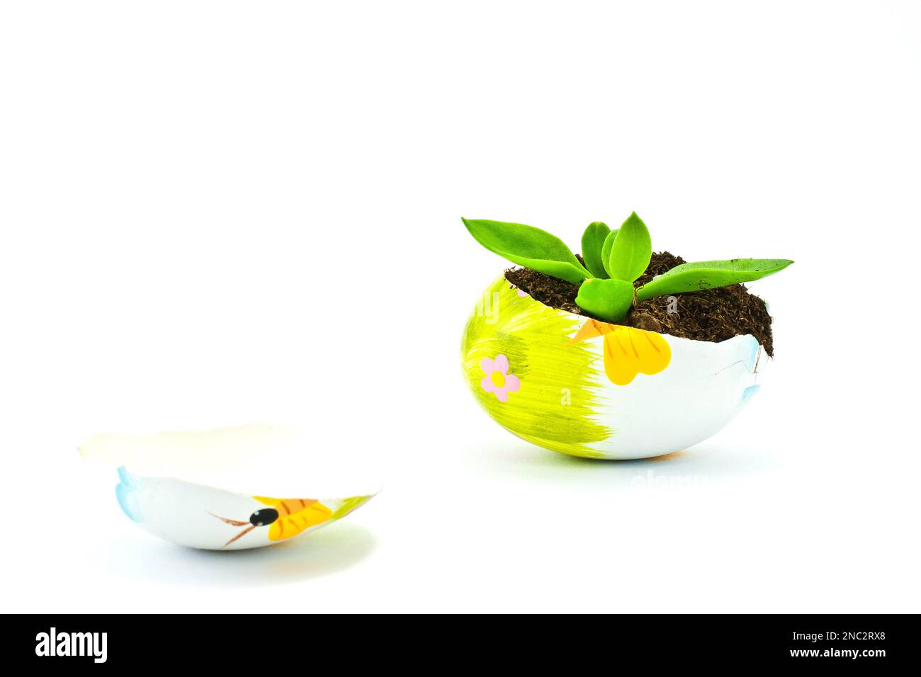 Conceptual and creative idea of broken egg shells used as soil pots and