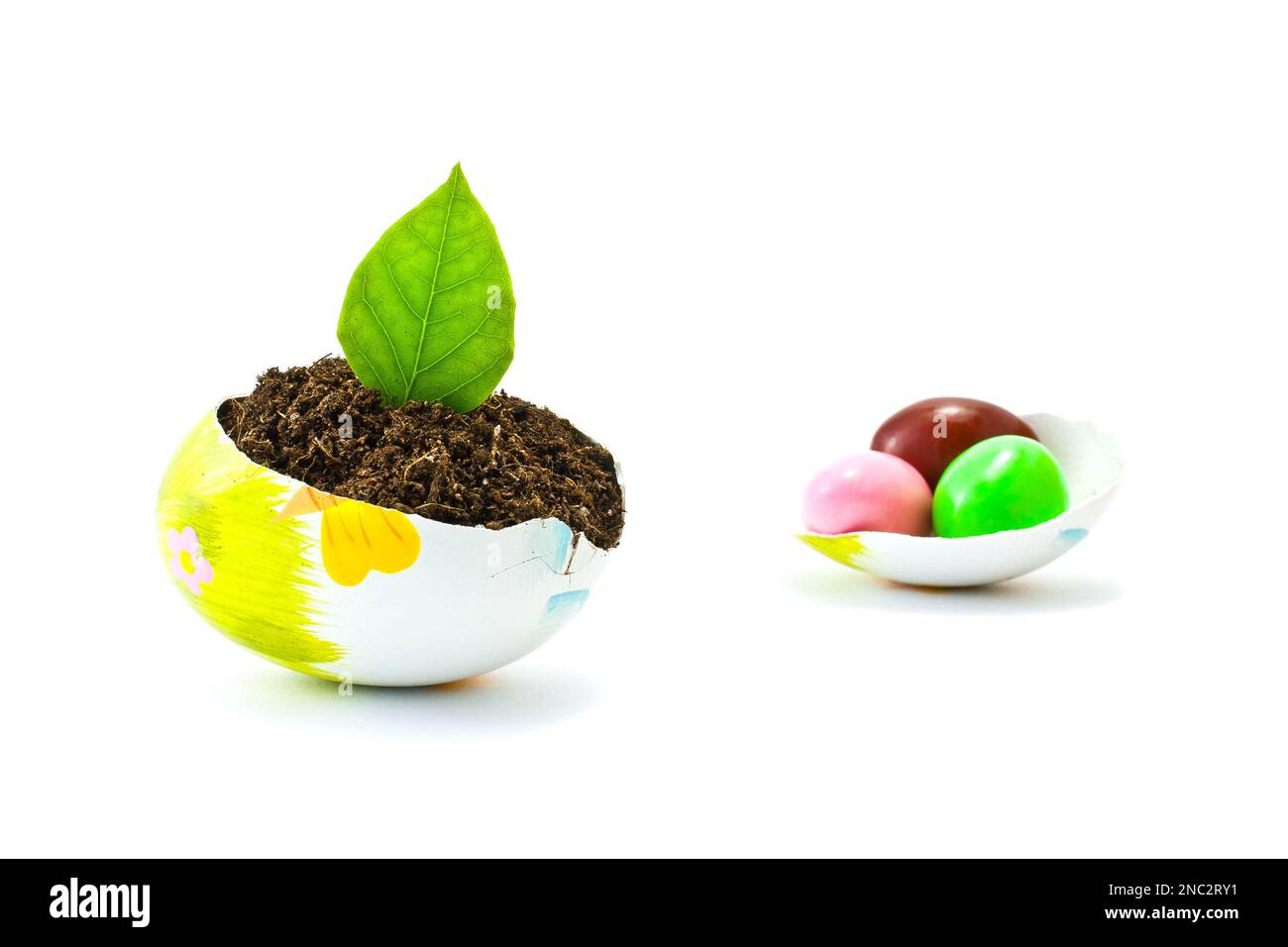 Conceptual and creative idea of broken egg shells used as soil pots and