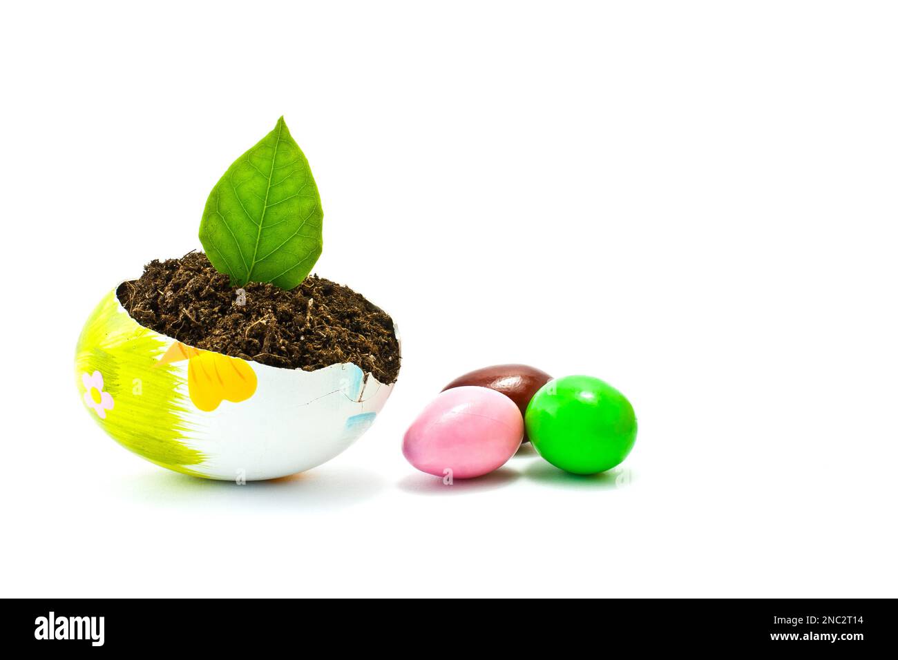 Conceptual and creative idea of broken egg shells used as soil pots and