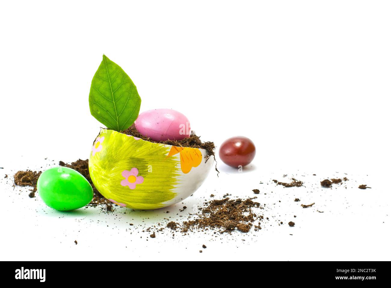 Conceptual and creative idea of broken egg shells used as soil pots and