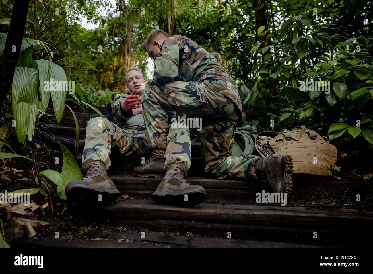 ARNHEM - Marines are training in the covered tropical rainforest of Burgers Zoo for medical scenarios that they might encounter in the jungle of Suriname during a mission. ANP ROBIN VAN LONKHUIJSEN netherlands out - belgium out Stock Photo