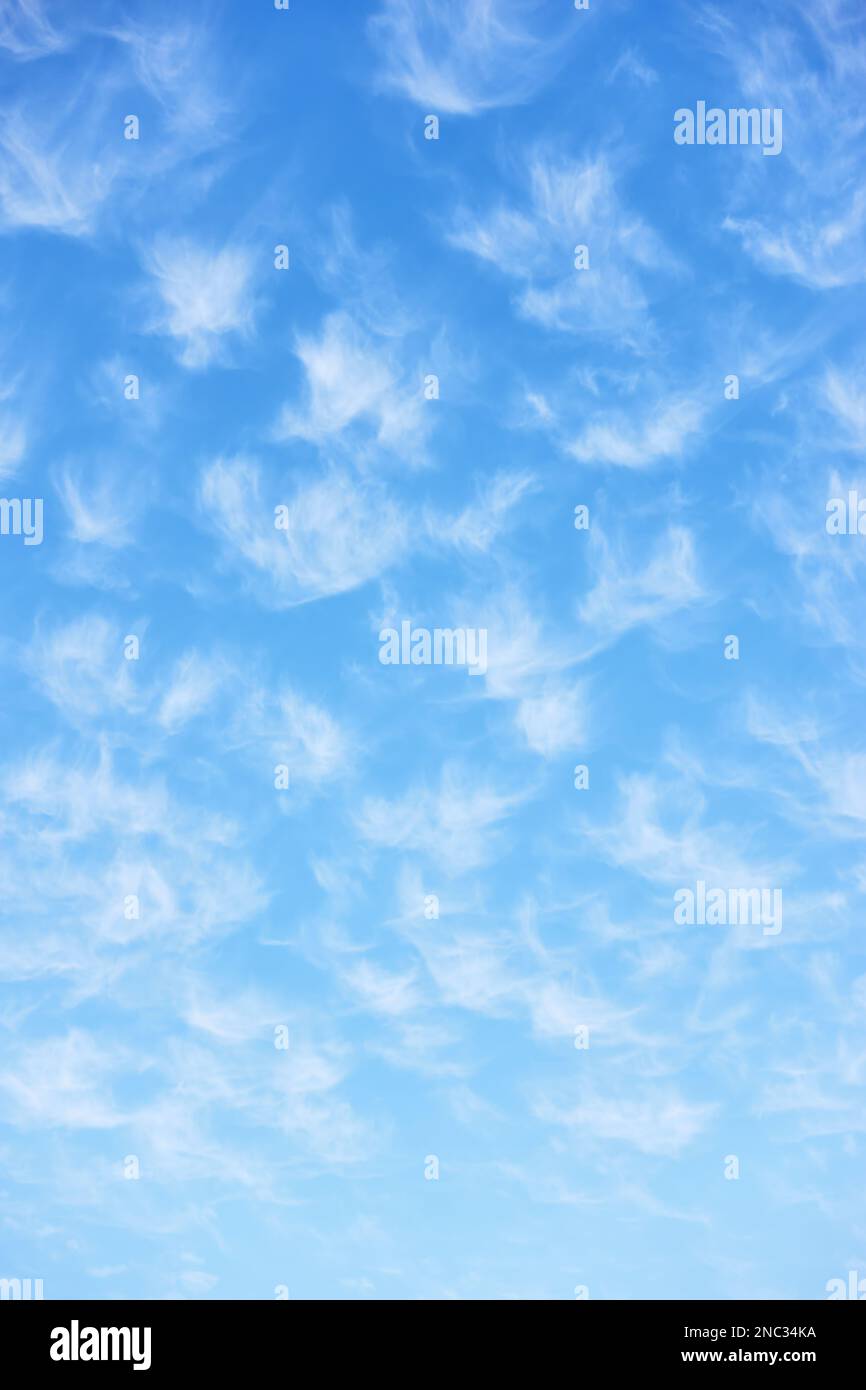Beautiful spring sky with lots small clouds. Vertical background Stock Photo