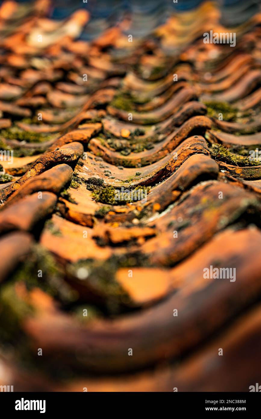 Cottage roof tiles Stock Photo Alamy