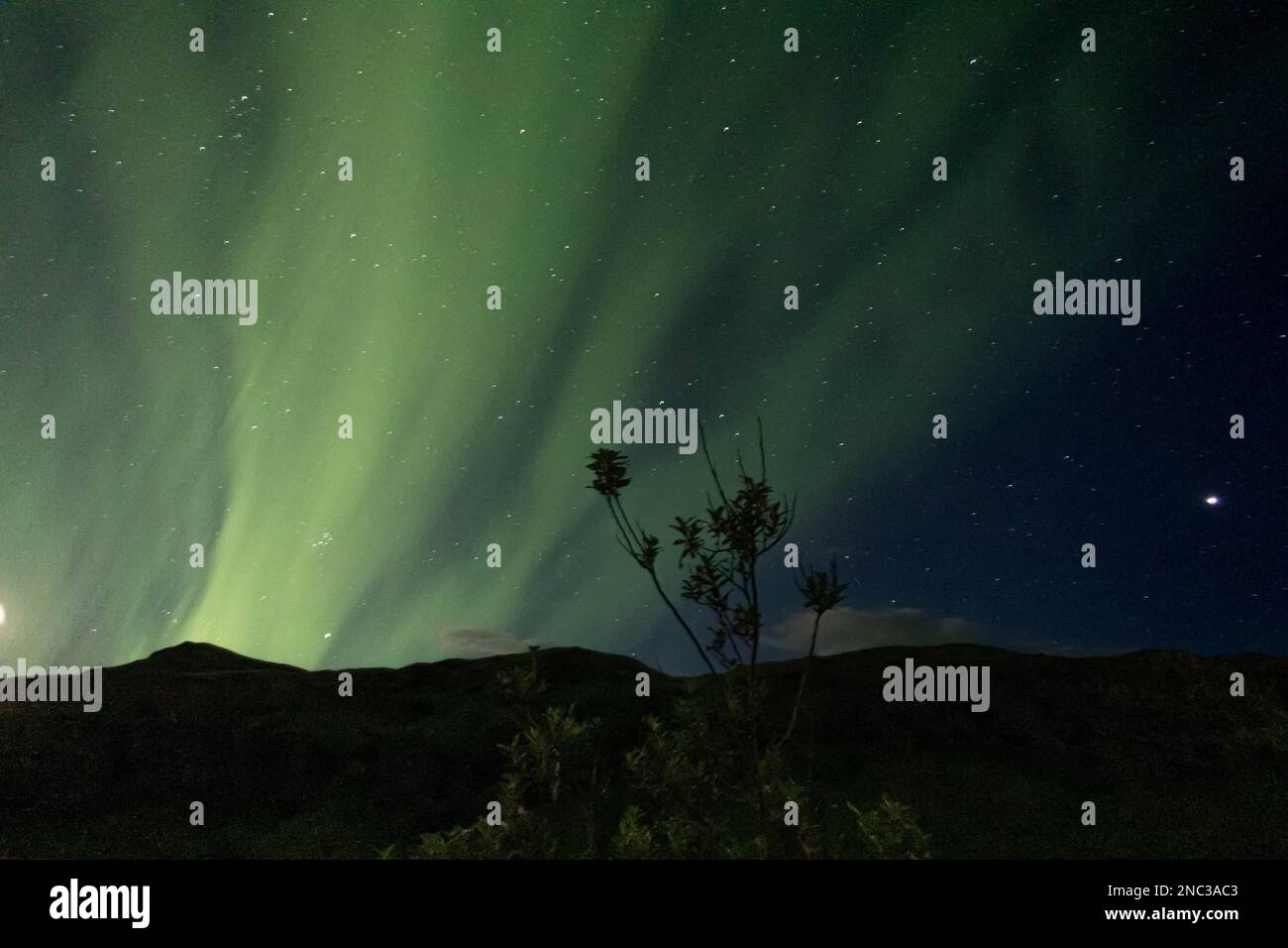 A breathtaking view of the Aurora Borealis shining in the night sky ...