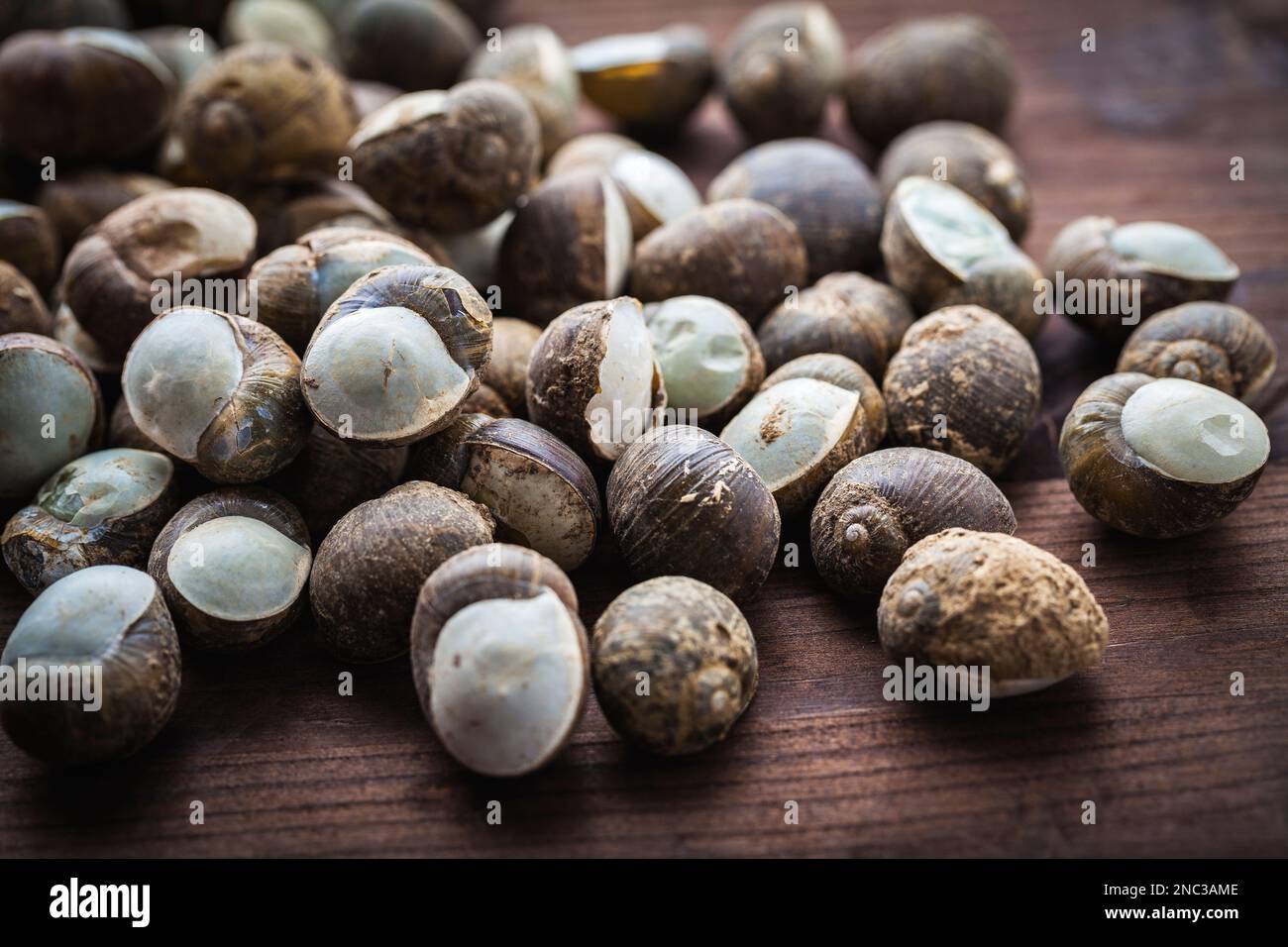 Land snails, raw and closed to cook to eat. close up Stock Photo Alamy