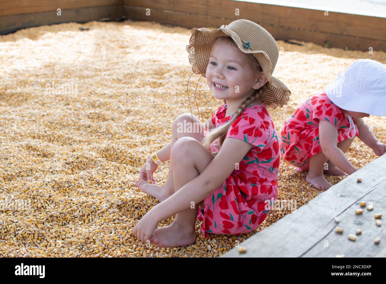 Corn kernel ball pit hires stock photography and images Alamy