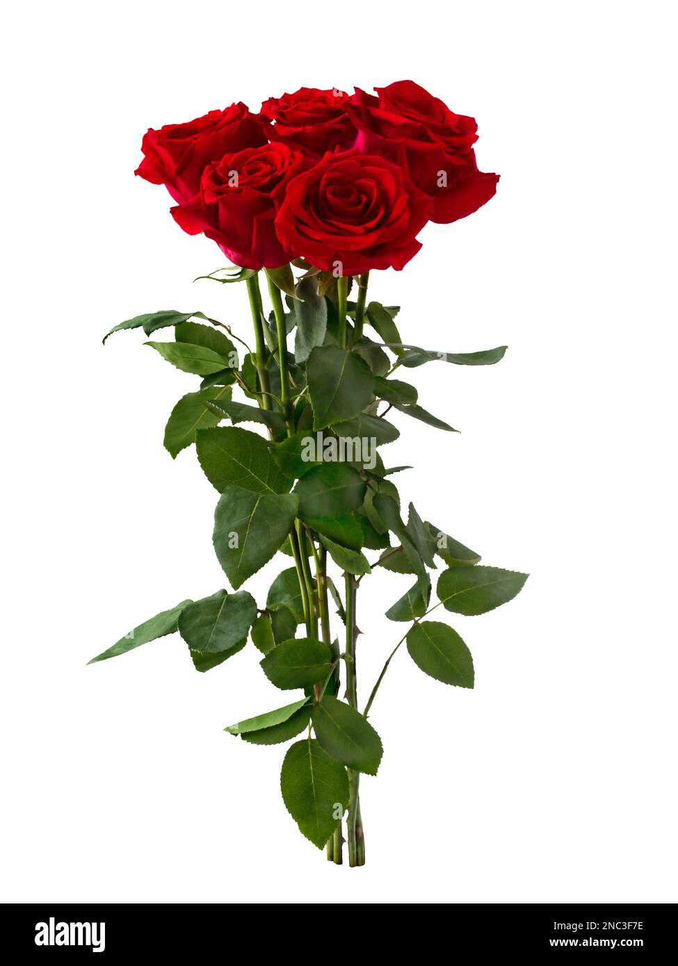 Bouquet of red roses isolated on white background Stock Photo - Alamy