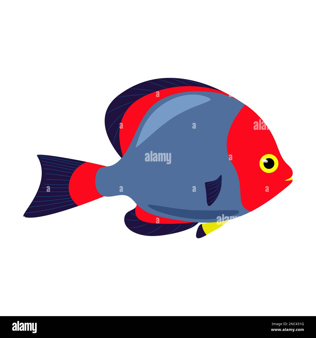 Decorative sea fish with blue red fins. Vector fish isolate in flat