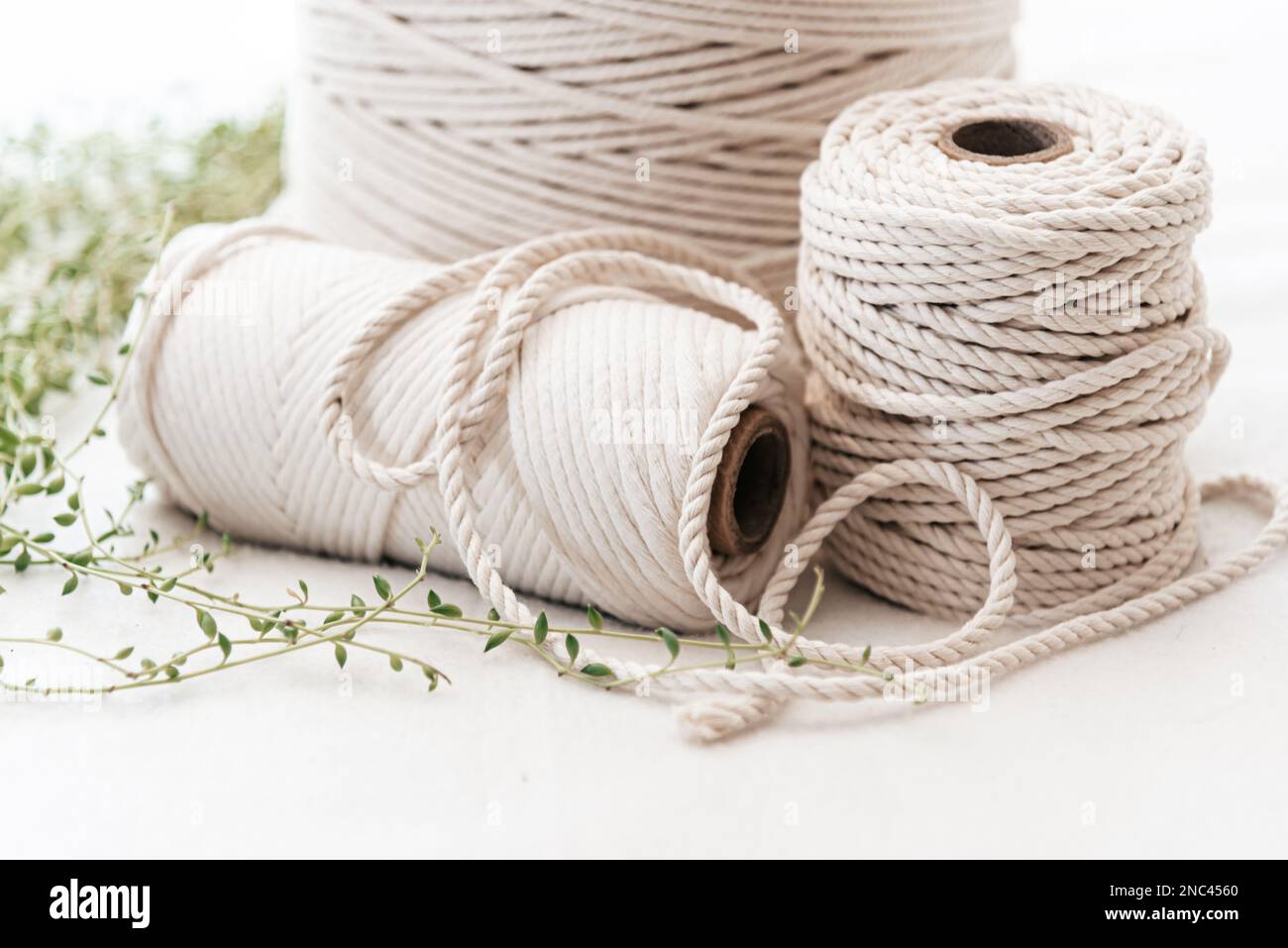 Natural Cotton Cord - 1.5mm, Hobby Lobby