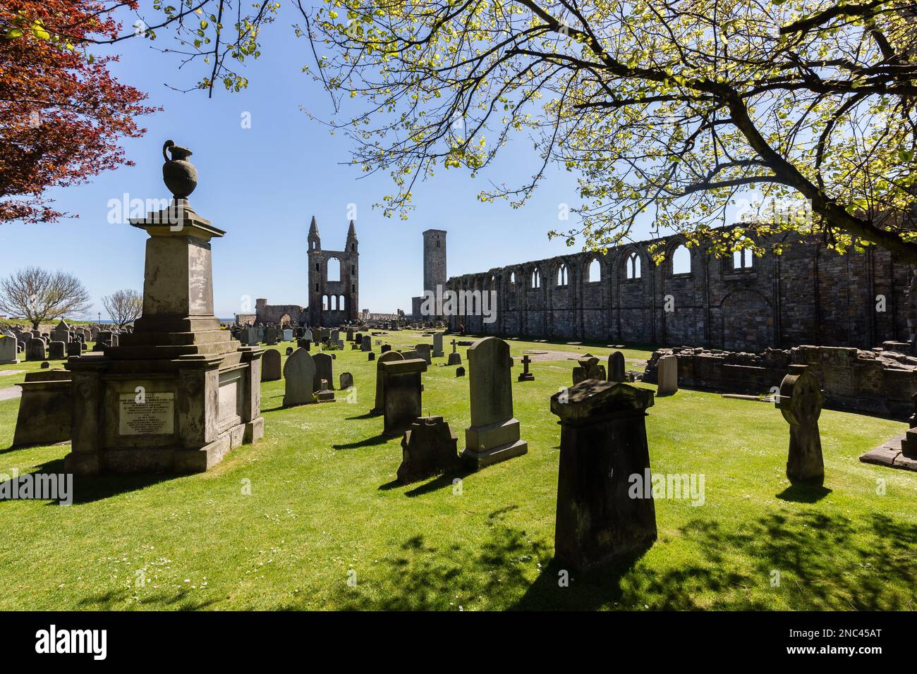 St. Andrews Cemetery and cathedral ruins, Scotland Stock Photo Alamy