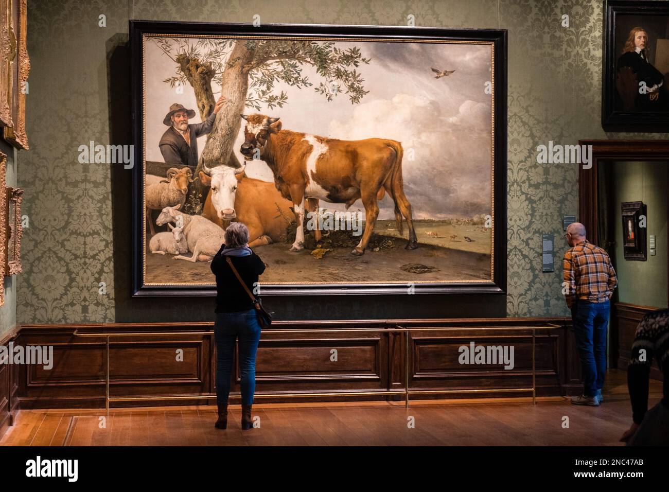 Painting of Paulus Potter called The young bull in the Mauritshuis