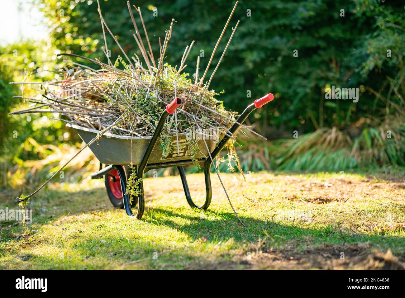 Cottage Garden with wheel barrow Stock Photo Alamy