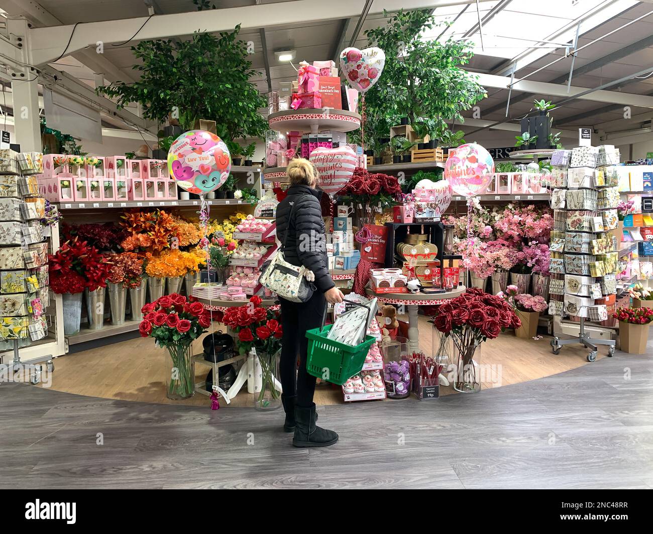 Bagshot, Surrey, UK. 14th February, 2023. Longacres Garden Centre in