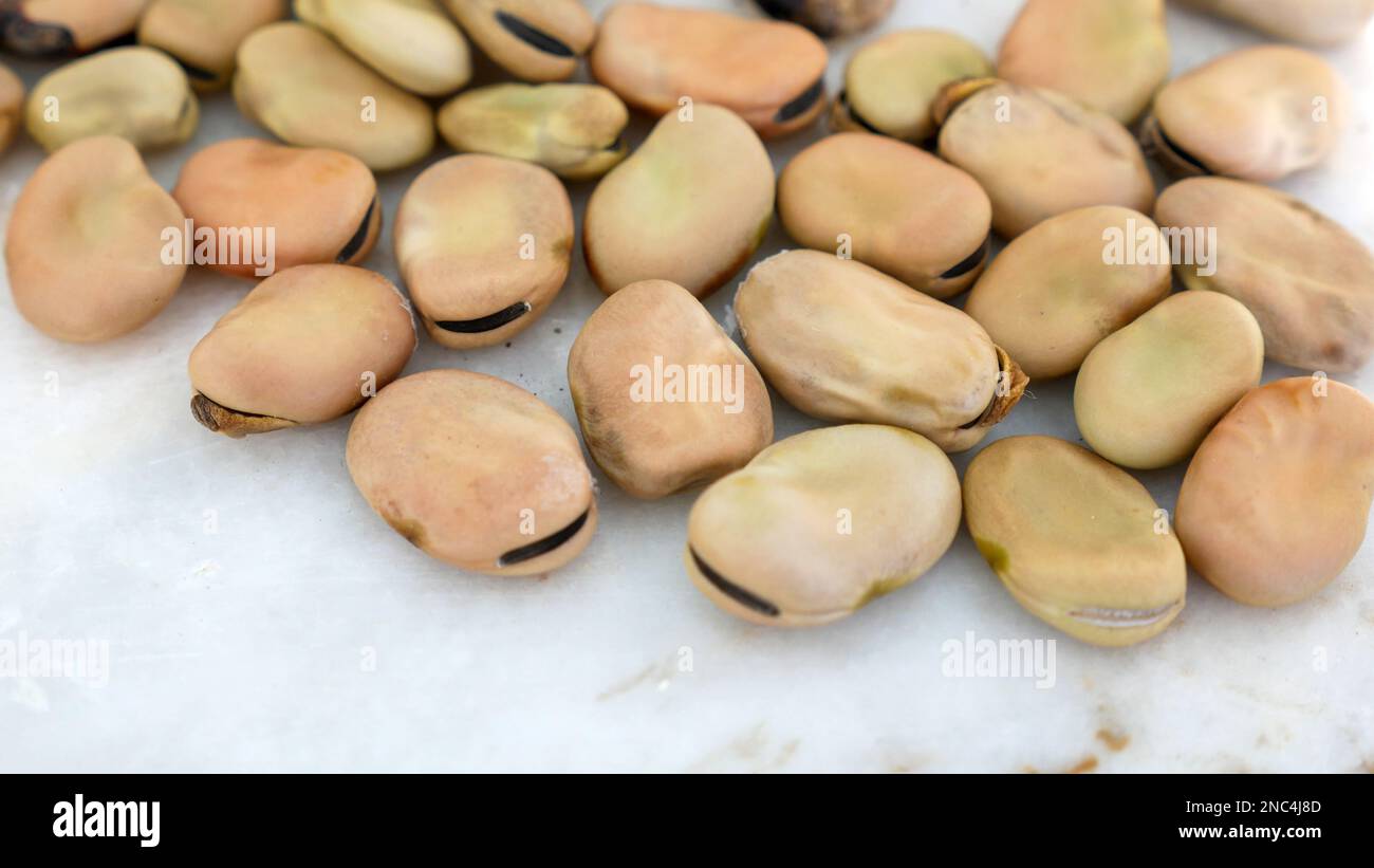 The process of getting broad bean seeds at home, bean bean fruit, seed
