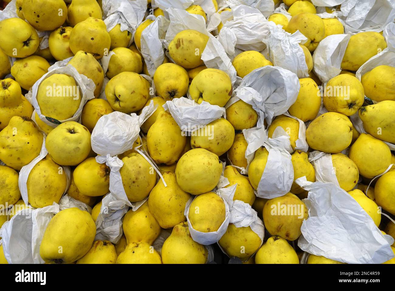 greengrocer, large juicy quinces, quince fruit ready for sale, crates
