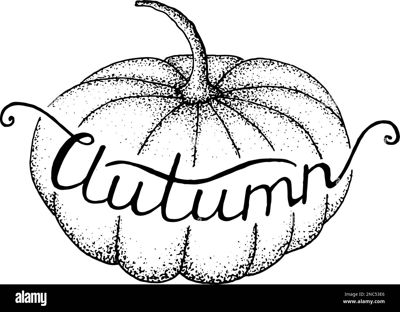 Gourd varieties Stock Vector Images - Alamy