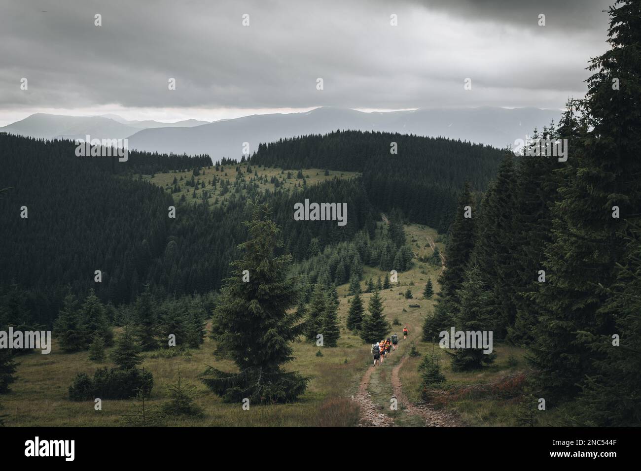 Early spring in the Ukrainian Carpathians. A group of tourists with backpacks is moving along the path. Stock Photo