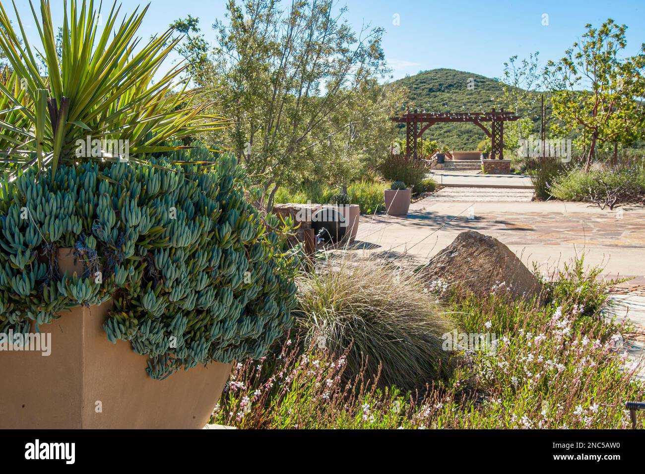 Alpine desert garden Stock Photo Alamy