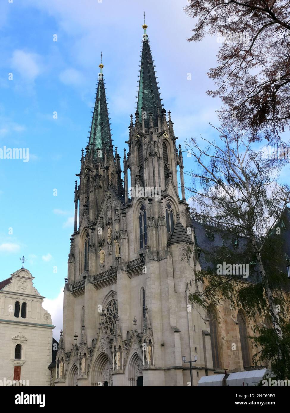 Saint Wenceslas Cathedral, Katedrála svatého Václava, Wenceslas Square