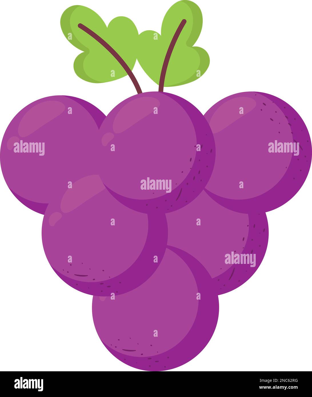 purple grapes design Stock Vector