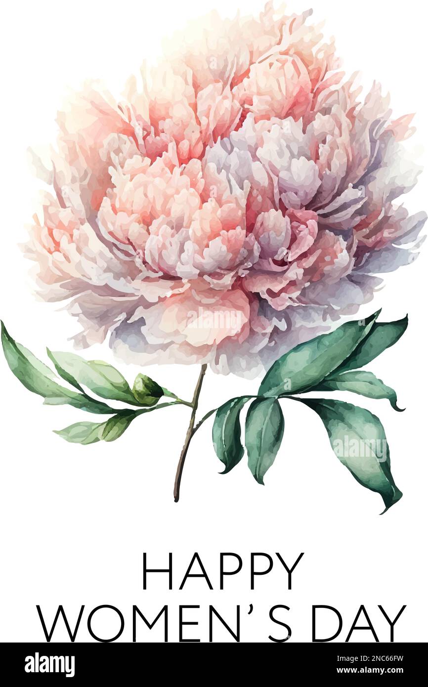 Vector stock flower illustration, Pink peony on a white background ...