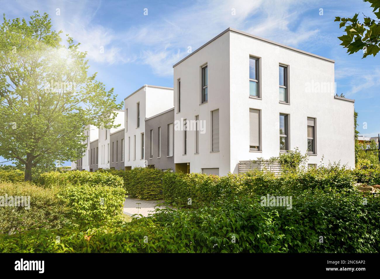 Picture of Environmentally Friendly Apartments | AMLI Residential