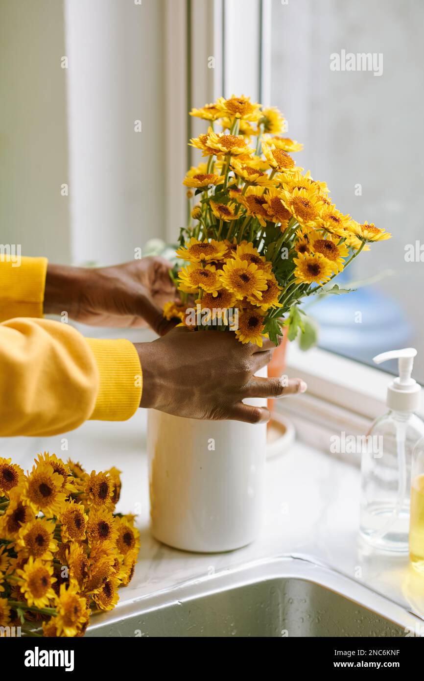 Hands of Black woman putting freshly cut yellow flowers in vase on