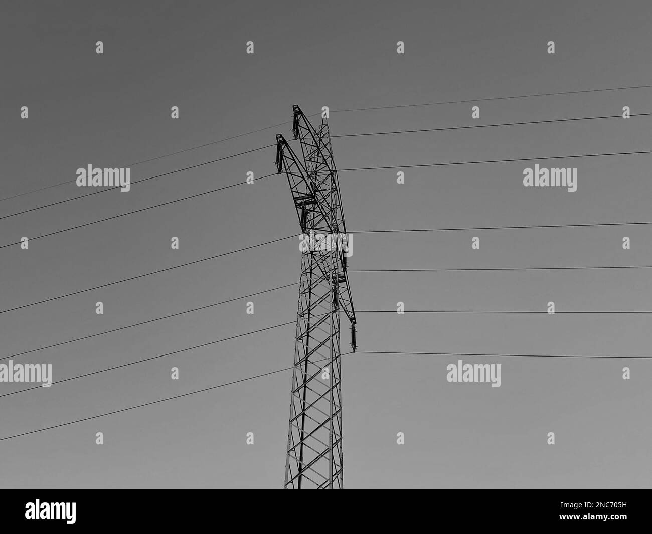 Black and white photo of a power pole and its power lines Stock Photo