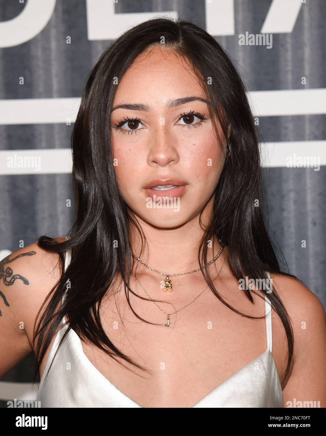 13 February 2023 - Los Angeles, California - Julie Sofia. Prime Video's The Consultant Premiere