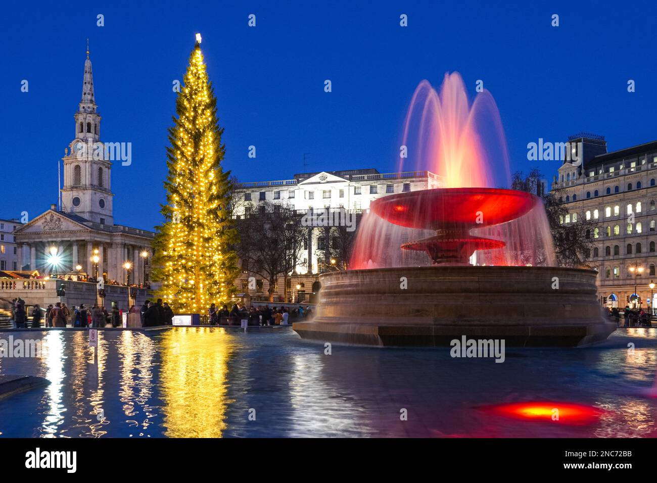 Christmas tree at Trafalgar Square, London England United Kingdom UK