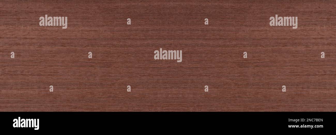 Brown tint hires stock photography and images Alamy