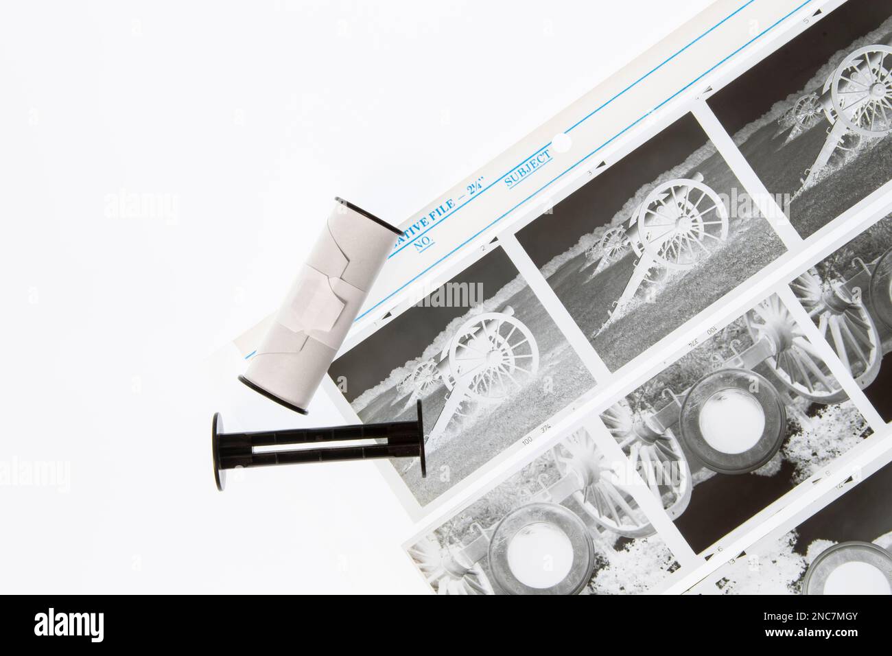 Film photography has made a big comeback, and medium format cameras are