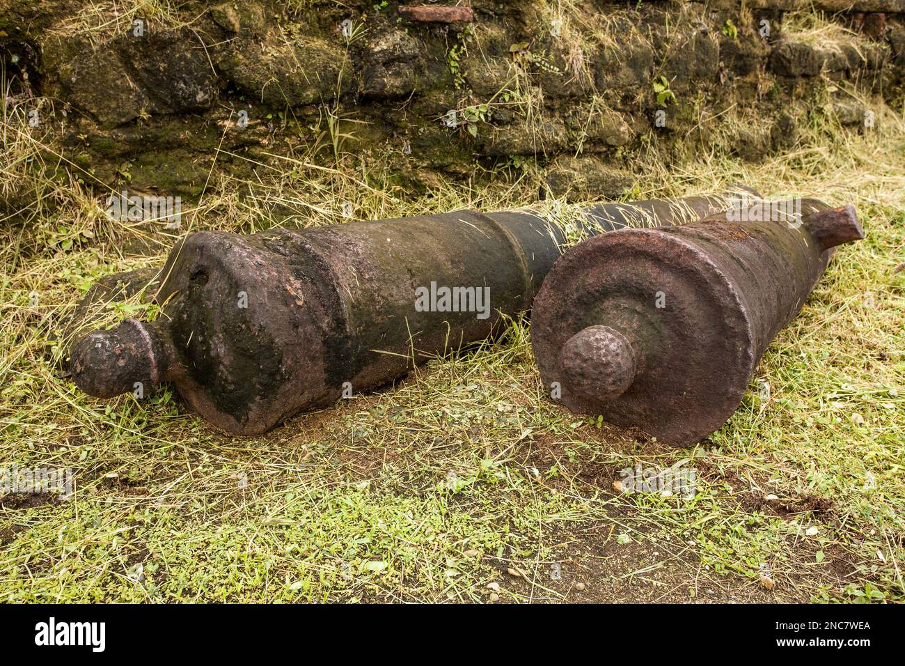 Cannons at the ruins of Fort San Lorenzo, at the mouth of the Chagres River on the Caribbean Coast of Panama, near Colon.  It was built by the Spanish Stock Photo
