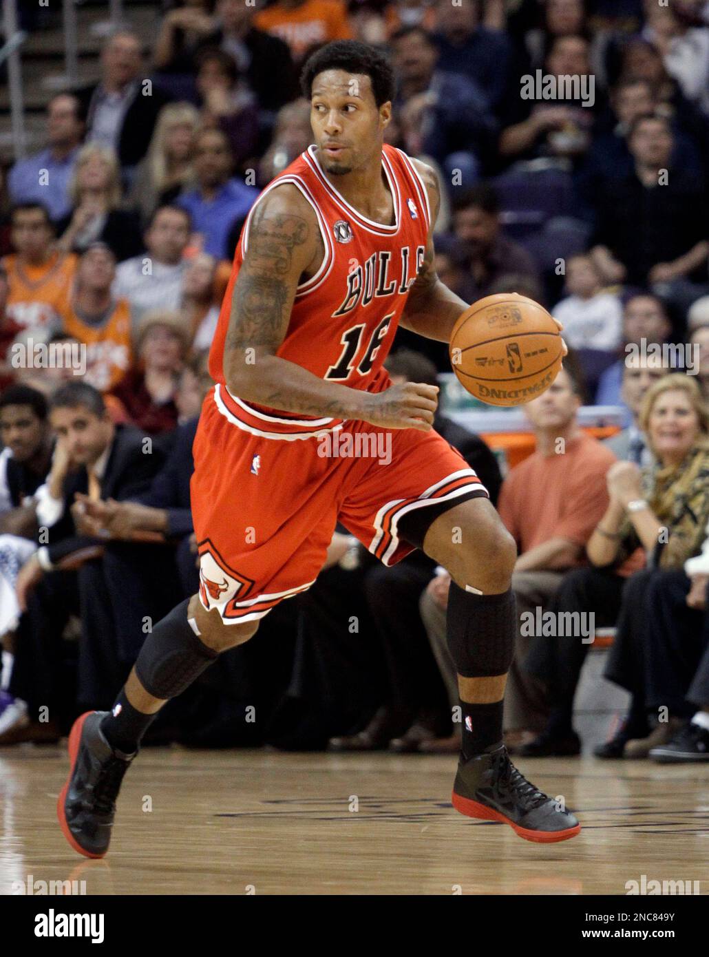 chicago bulls james