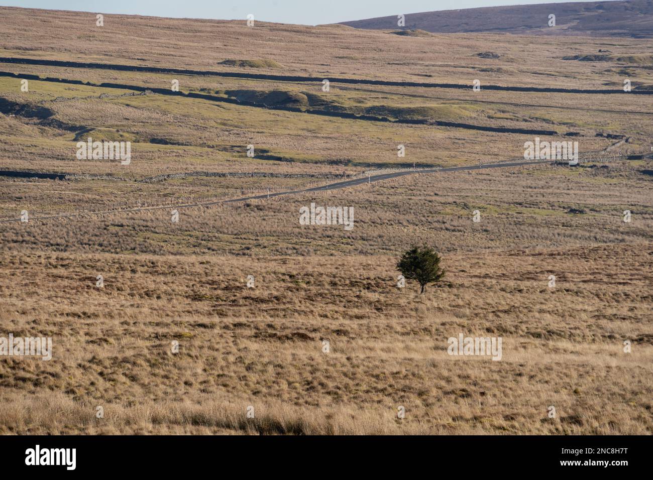 View of North Pennine Moors from Upper Teesdale, County Durham Stock Photo