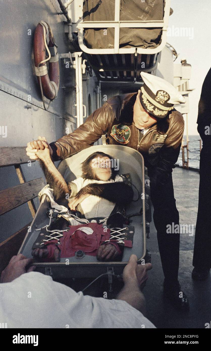 ham-a-chimpanzee-is-shown-on-deck-of-ship-after-being-pulled-out-of