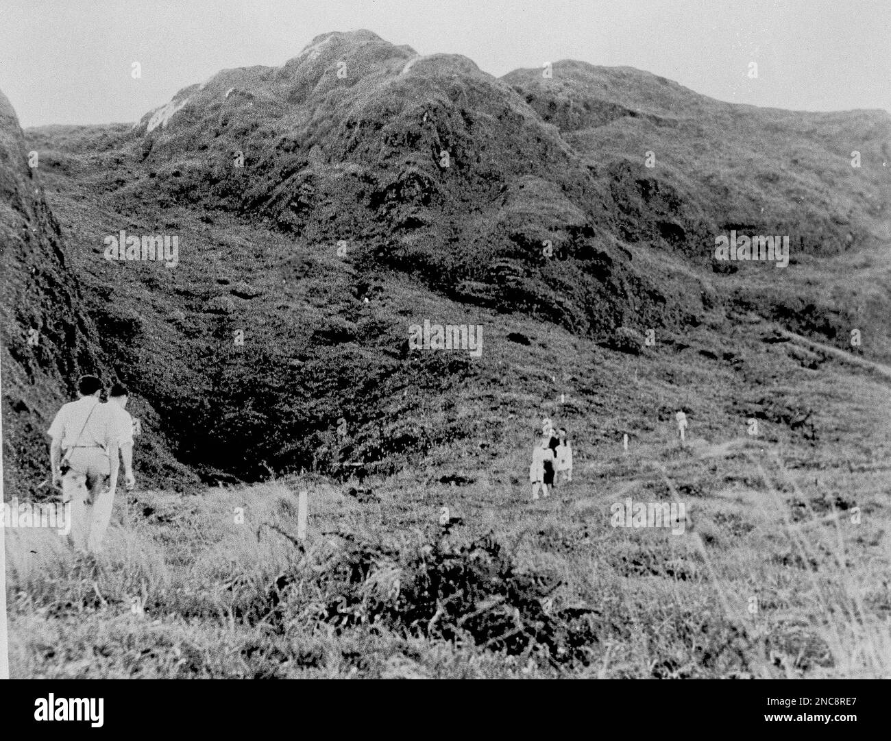 This is the still active Mount Pelee volcano in Martinique, which ...