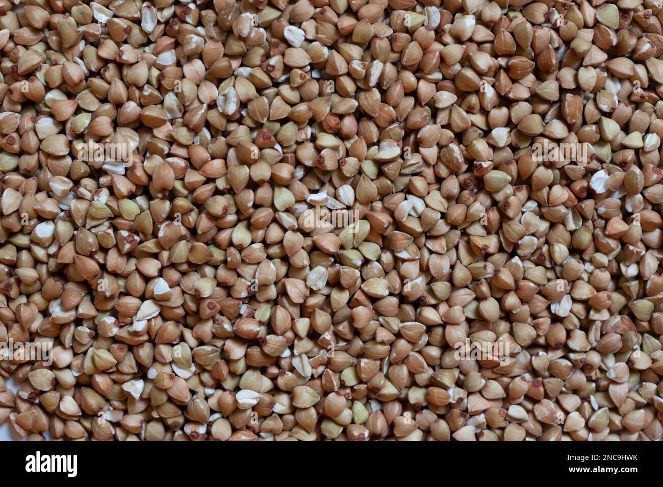 Dried buckwheat in detail Stock Photo Alamy