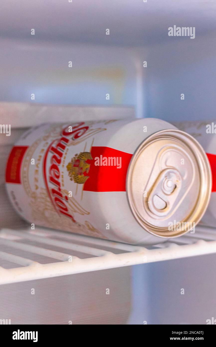 Beer cans Superior in refrigerator freezer in Playa del Carmen Quintana