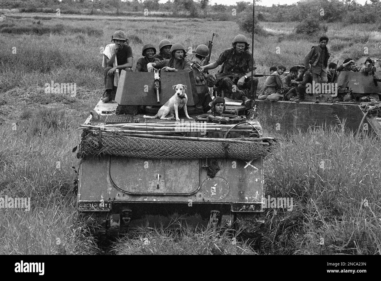 Their mascot sits up front as troops in the Americal Division ride on ...