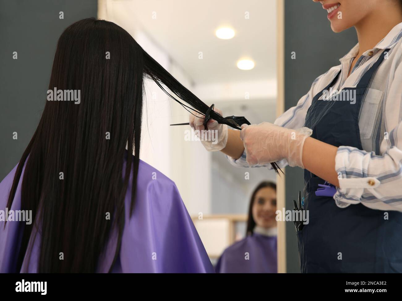 Professional hairdresser dying hair in beauty salon, closeup Stock