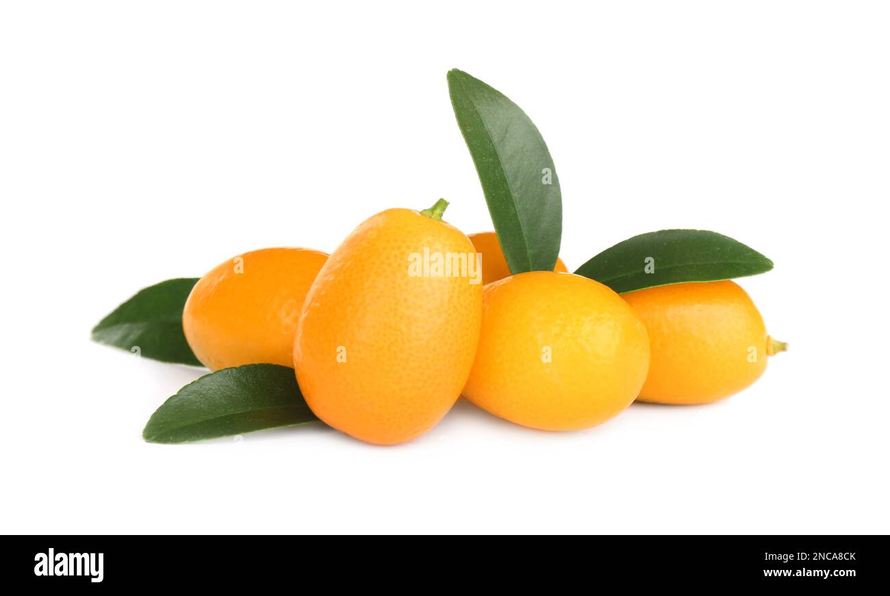 Fresh ripe kumquats with leaves on white background. Exotic fruit Stock
