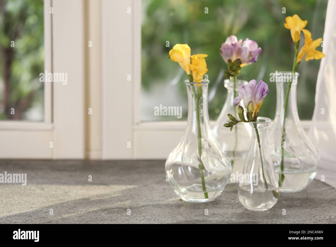 Beautiful fresh freesias on window sill indoors. Spring flowers Stock ...