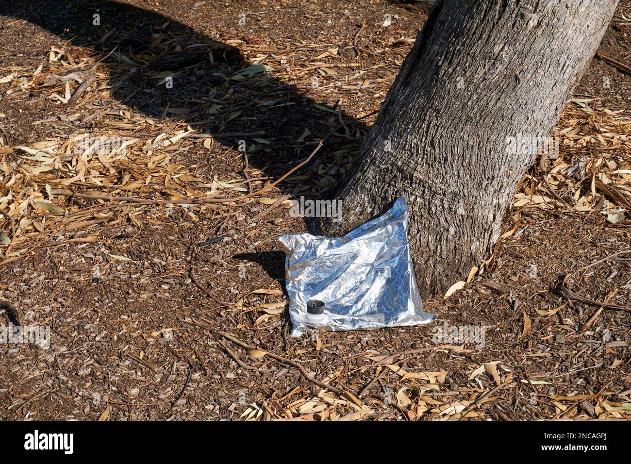 A Isolated Goon Bag lying against a tree in the early morning Stock Photo Alamy